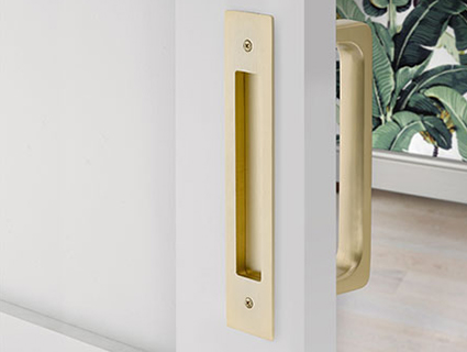 Picture of Emtek door pull