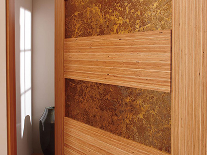 Picture of TruStile Modern Door Collection wood
