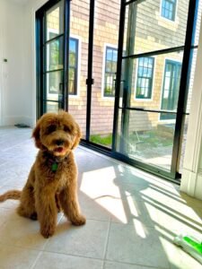 Scooby Doo approves of the installation of his new Marvin Elevate Sliding Patio Door.