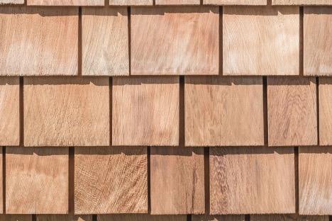 red-cedar1