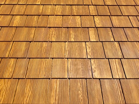 red-cedar3