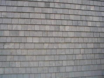 white-cedar1